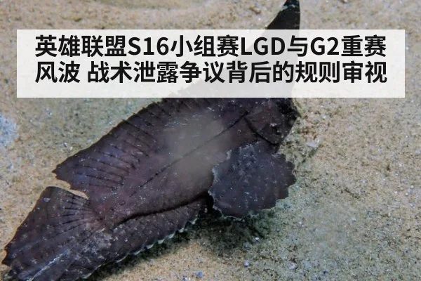英雄联盟S16小组赛LGD与G2重赛风波 战术泄露争议背后的规则审视